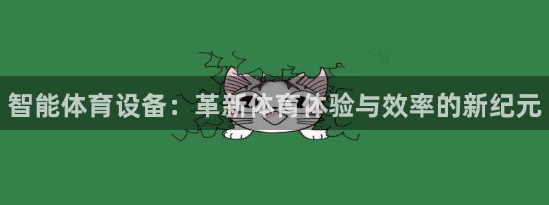 智能体育设备：革新体育体验与效率的新纪元