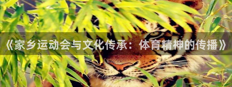 《家乡运动会与文化传承：体育精神的传播》