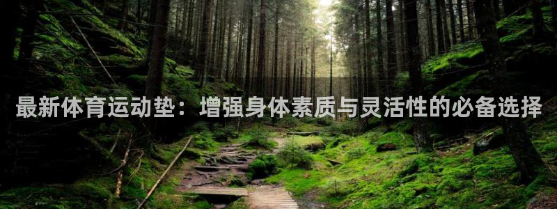最新体育运动垫：增强身体素质与灵活性的必备选择