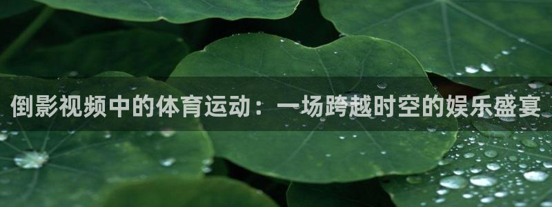 倒影视频中的体育运动：一场跨越时空的娱乐盛宴