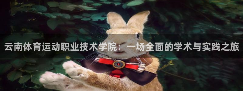云南体育运动职业技术学院：一场全面的学术与实践之旅