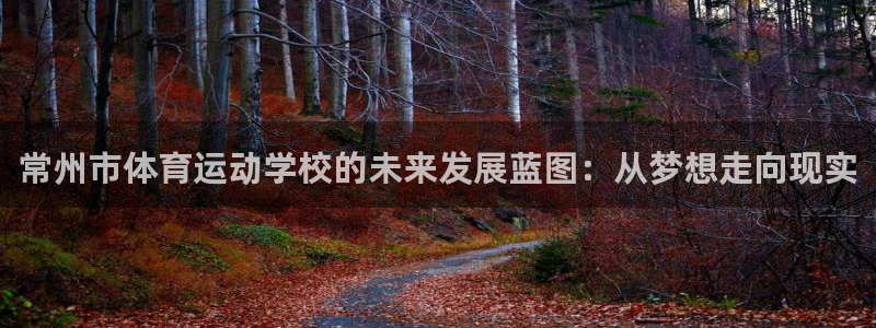 常州市体育运动学校的未来发展蓝图：从梦想走向现实